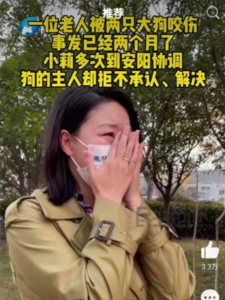 把小莉为难哭的狗主人现在想和解