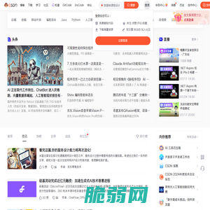 CSDN - 专业开发者社区